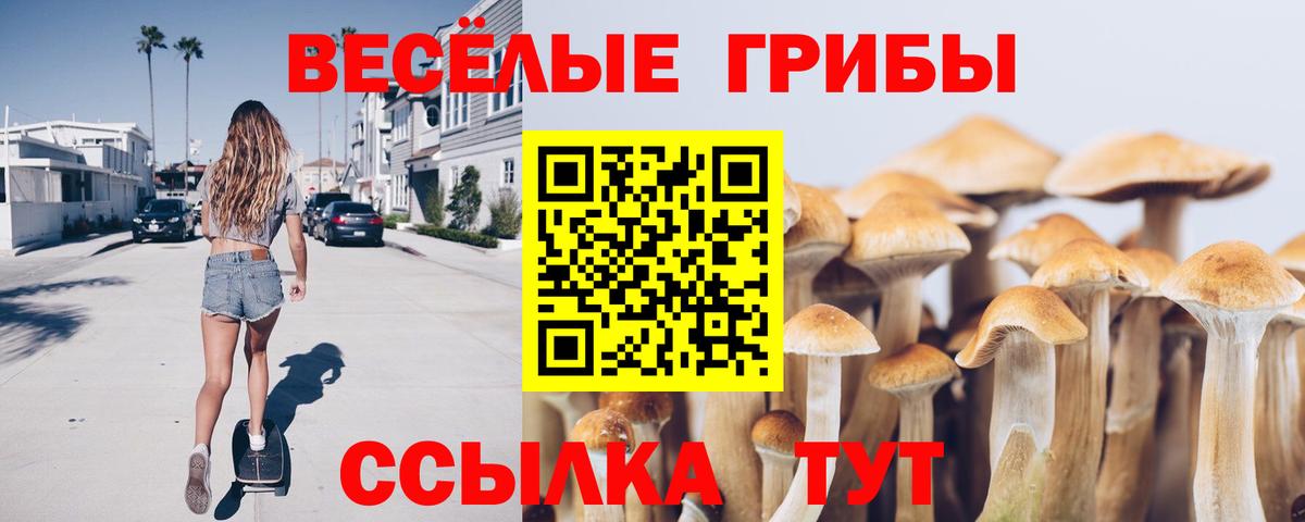 Псилоцибиновые грибы Cubensis Первоуральск
